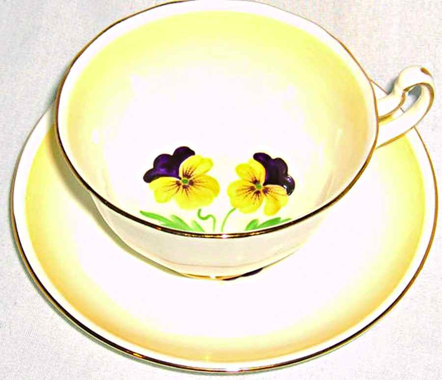 241-9 Footed Cup & Saucer Set by Adderley-1