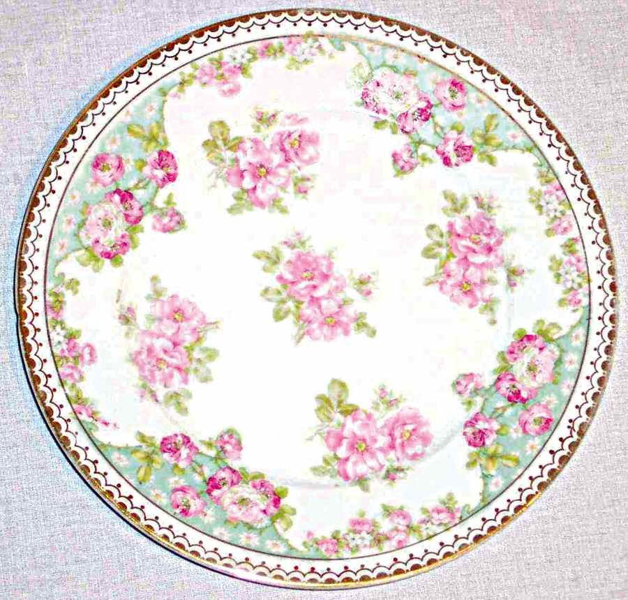 AUS374 Dinner Plate by Austria-1