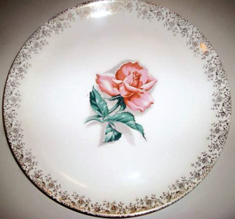 AXD9 Dinner Plate by S Alexander-1
