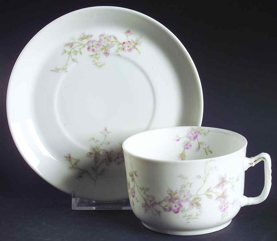 AUS376 Flat Cup & Saucer Set by Austria-1