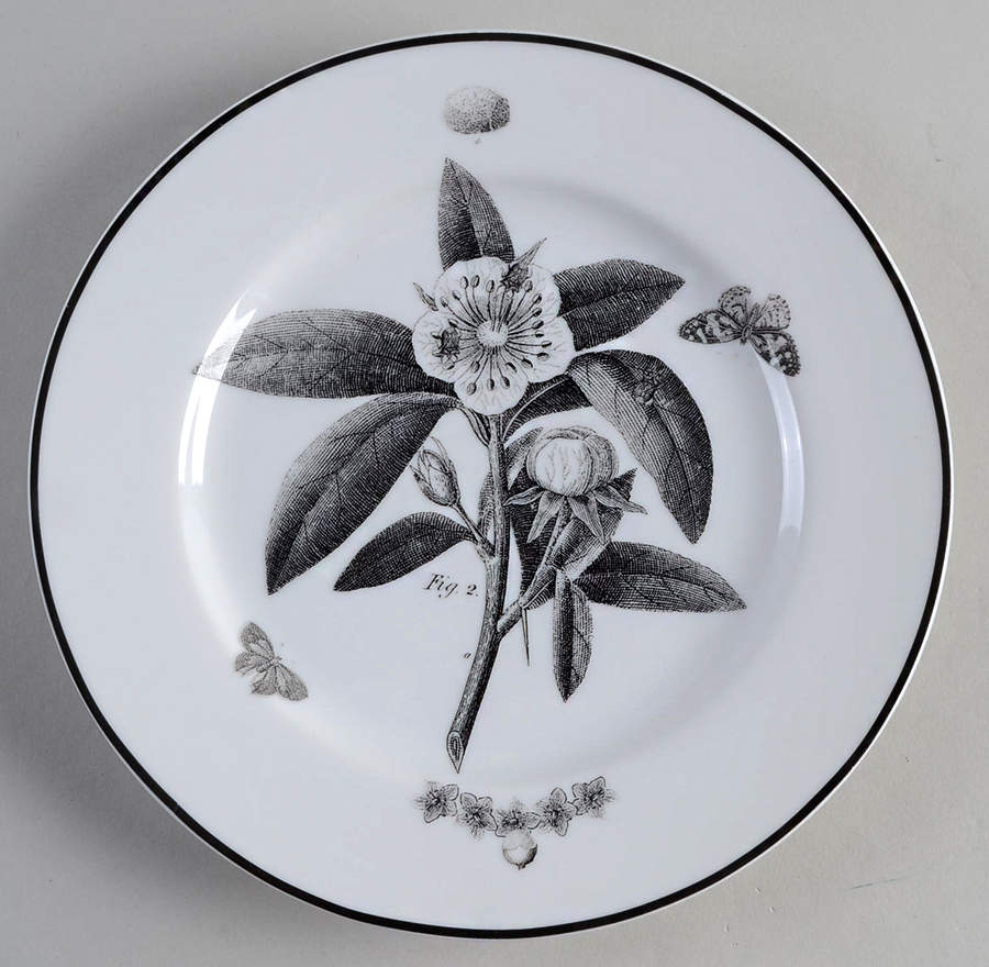 Curio Dessert/Pie Plate by Anthropologie-1