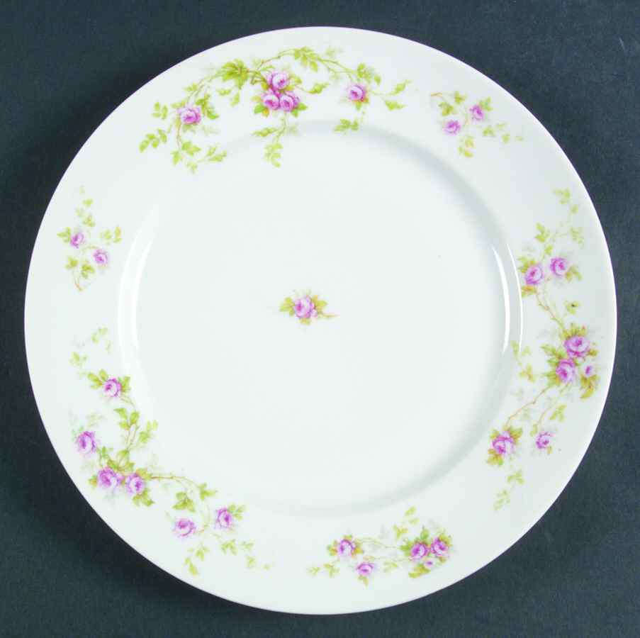 ALT497 Dinner Plate by Altrohlau-1
