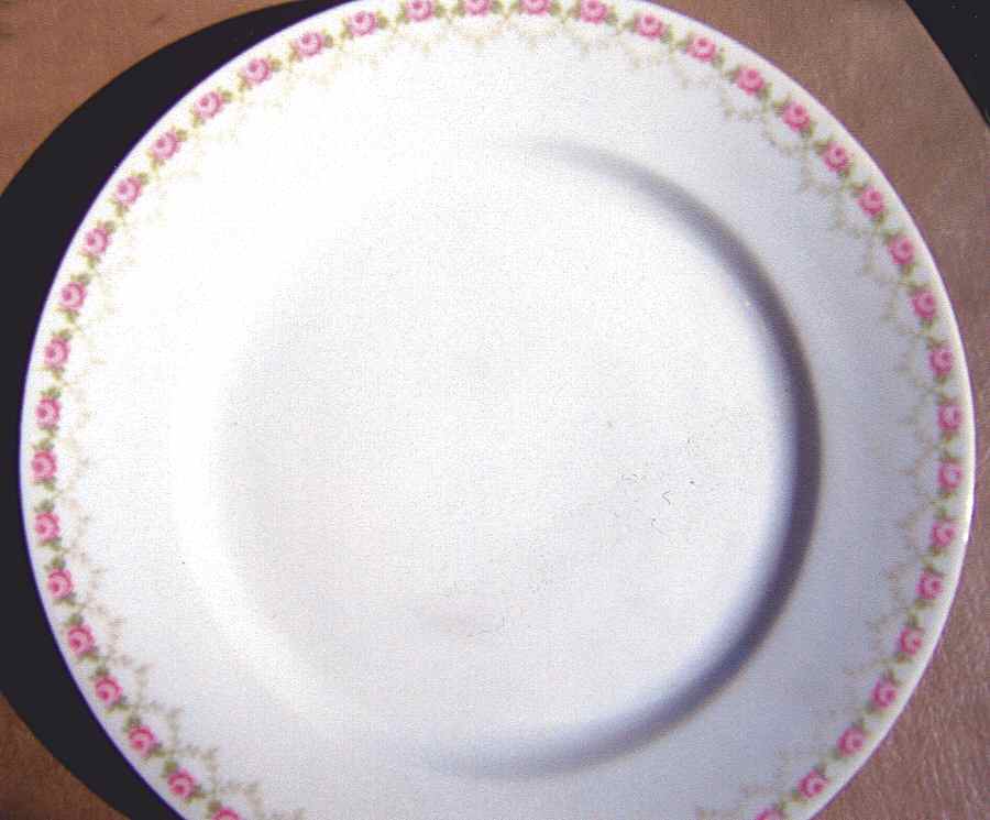 ADH21 Dinner Plate by Adolf Persch-1