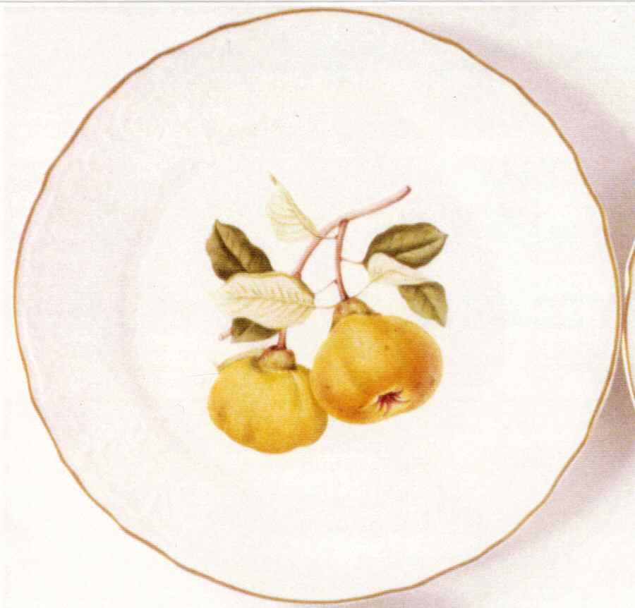 John Hooker Fruits Dinner Plate by Anna Weatherley-1