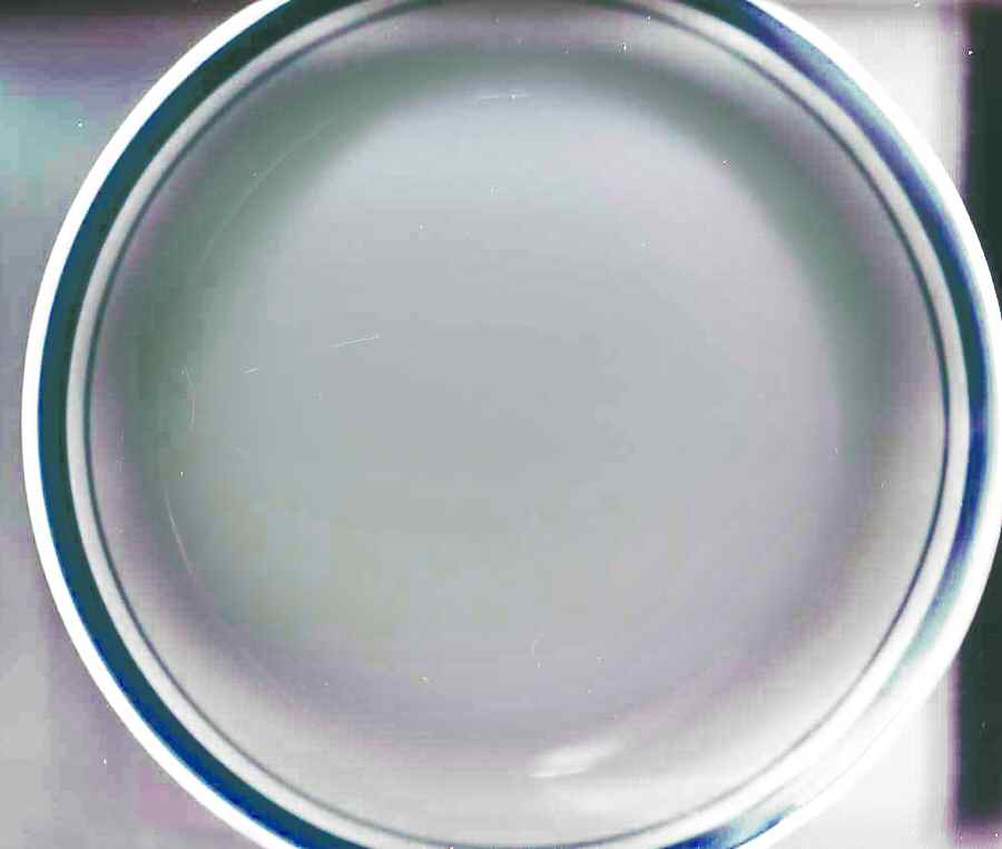 5529 Dinner Plate by American Atelier-1