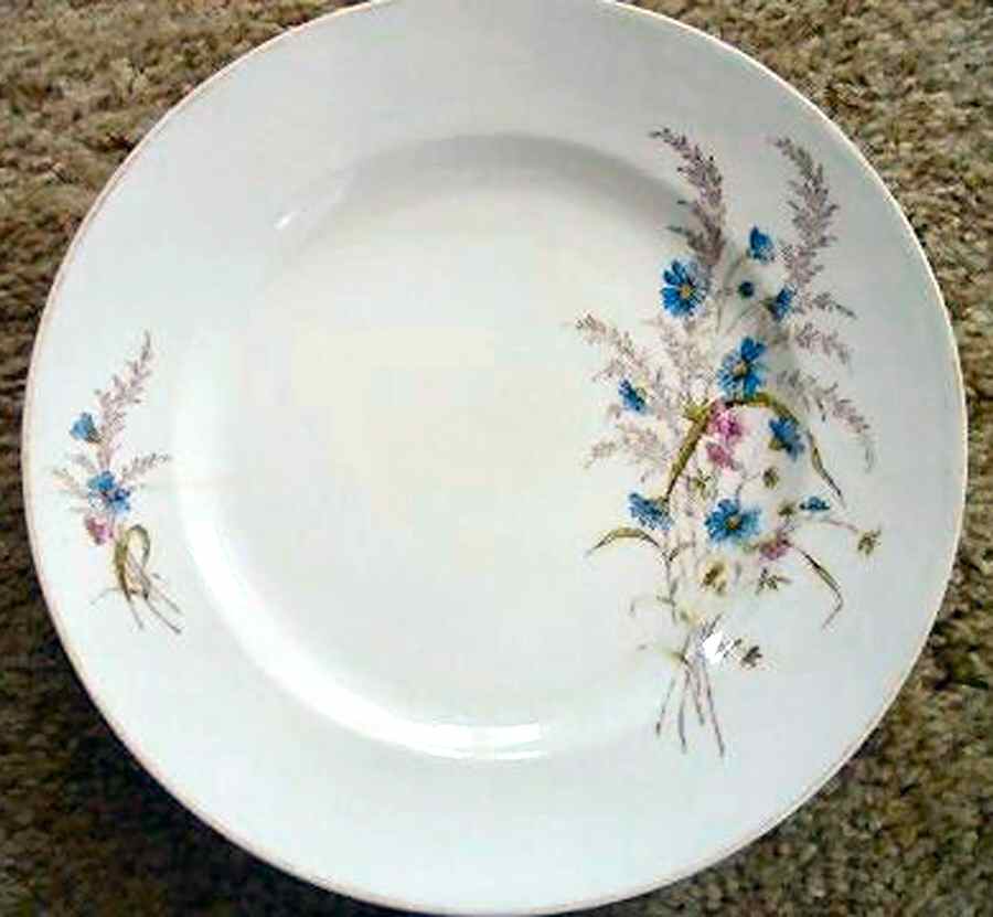D304 Dinner Plate by Altrohlau-1