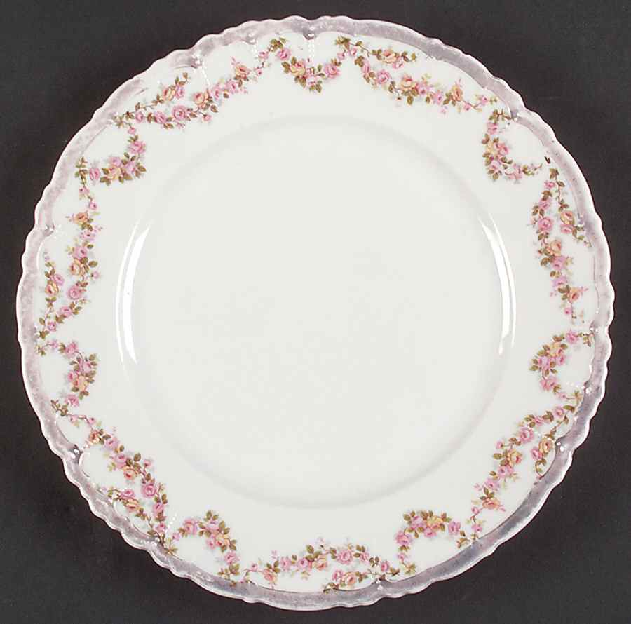 AUS381 Dinner Plate by Austria-1