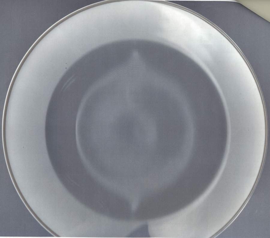 ARZ194 Rim Soup Bowl by Arzberg-1