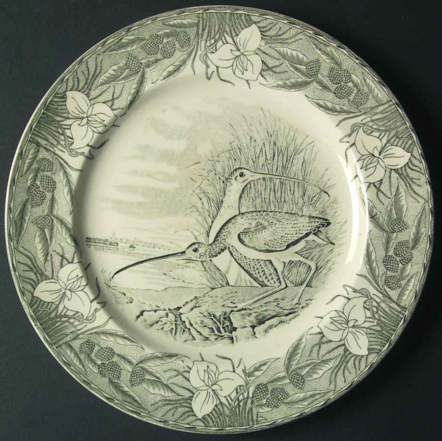 Birds of America Black Dinner Plate by Adams China-1