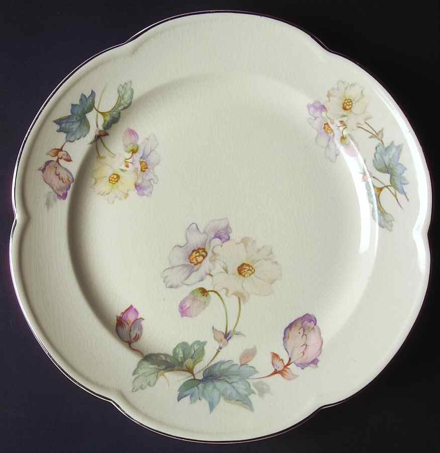 ACW9 Dinner Plate by American Chinaware-1