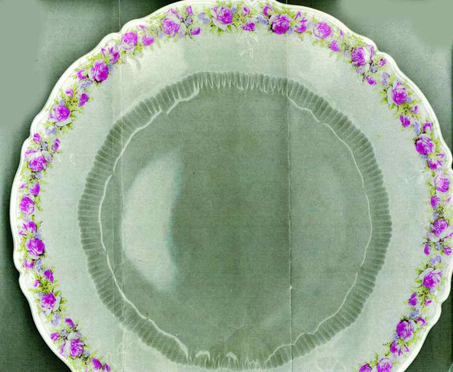 ALT539 Dinner Plate by Altrohlau-1