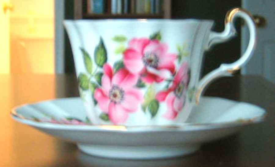 H1381 Footed Cup & Saucer Set by Adderley-1