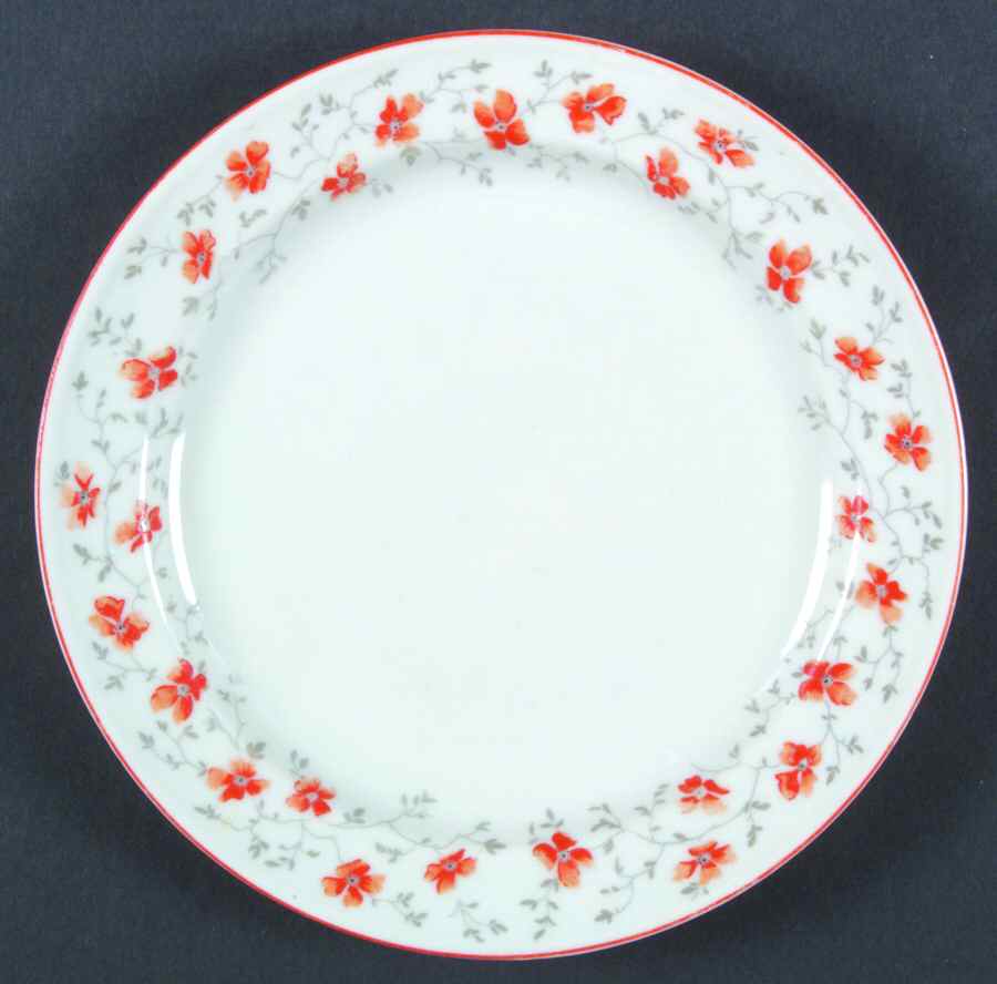 ARZ199 Salad Plate by Arzberg-1