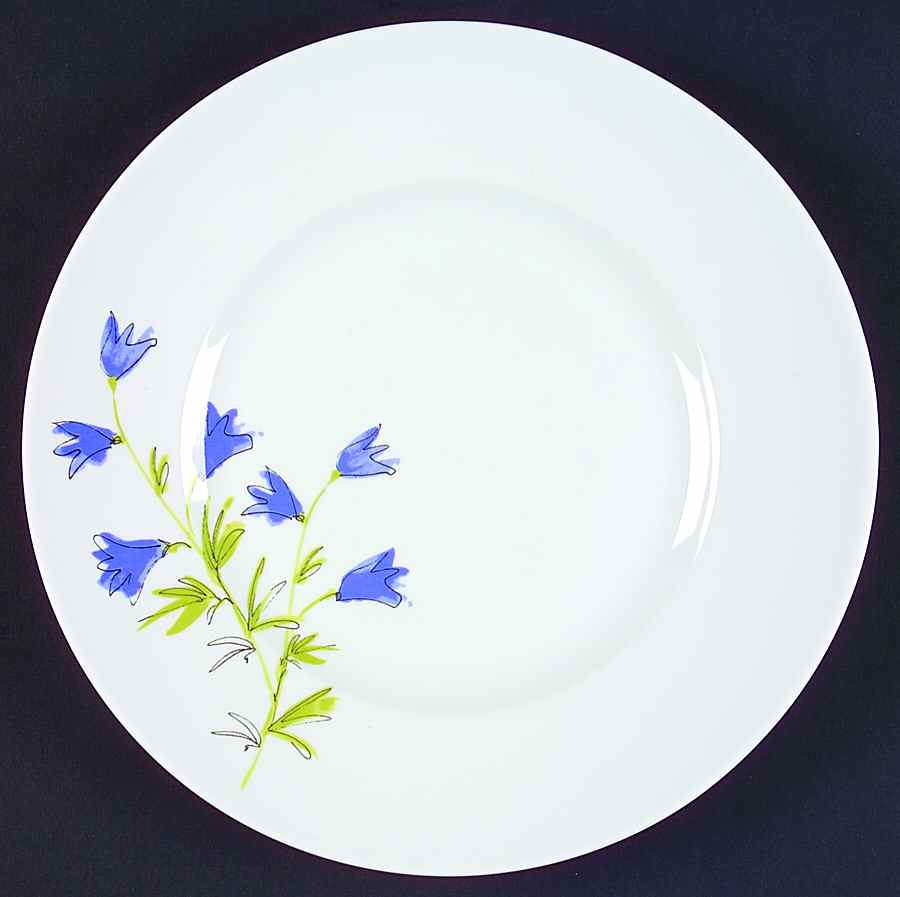 Celeste Salad Plate by 222 Fifth (PTS)-1
