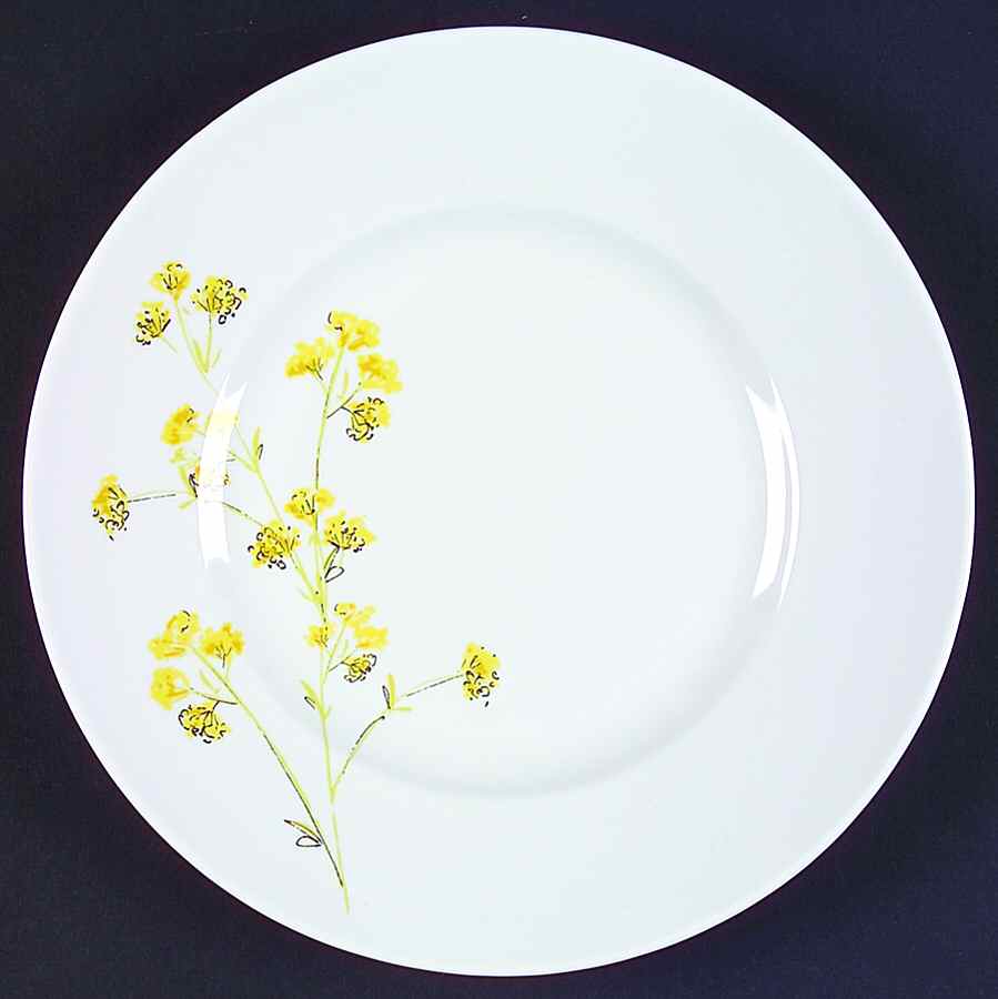 Celeste Salad Plate by 222 Fifth (PTS)-1