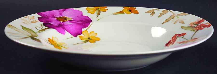 Gaia Large Rim Soup Bowl by 222 Fifth (PTS)-1