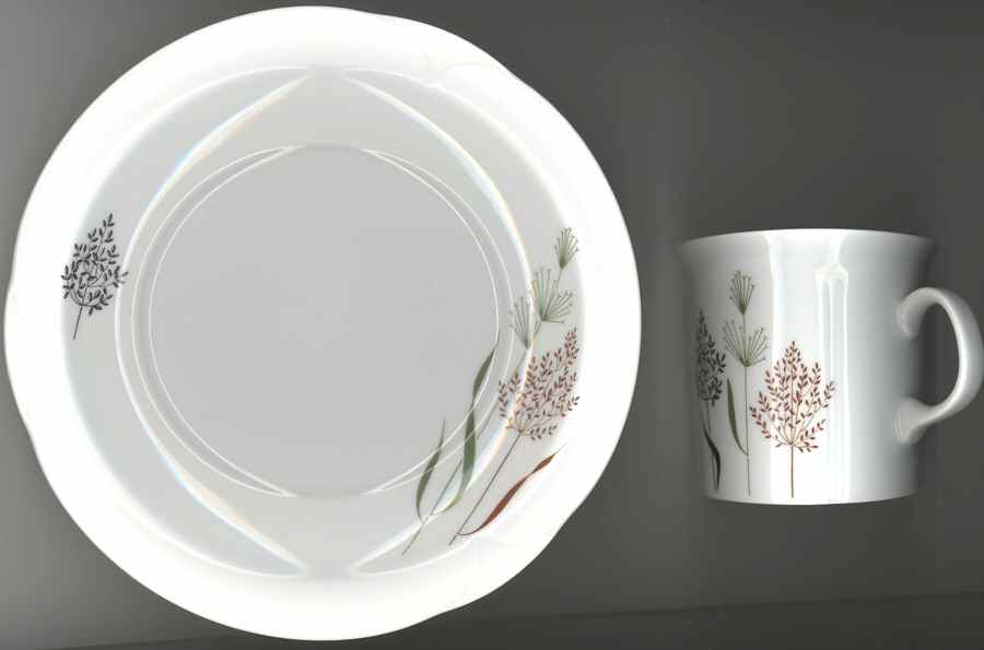 ARZ201 Flat Cup & Saucer Set by Arzberg-1