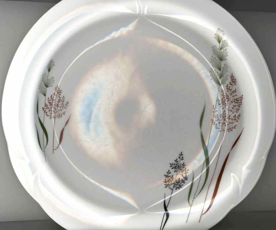 ARZ201 Dinner Plate by Arzberg-1