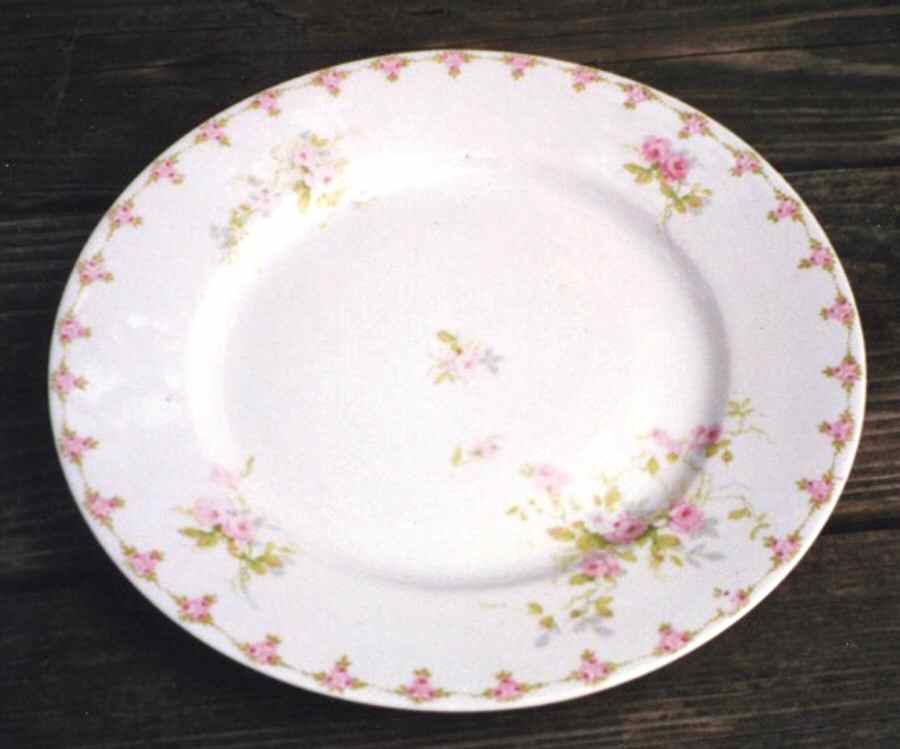 ADZ9 Dinner Plate by A & D Limoges-1
