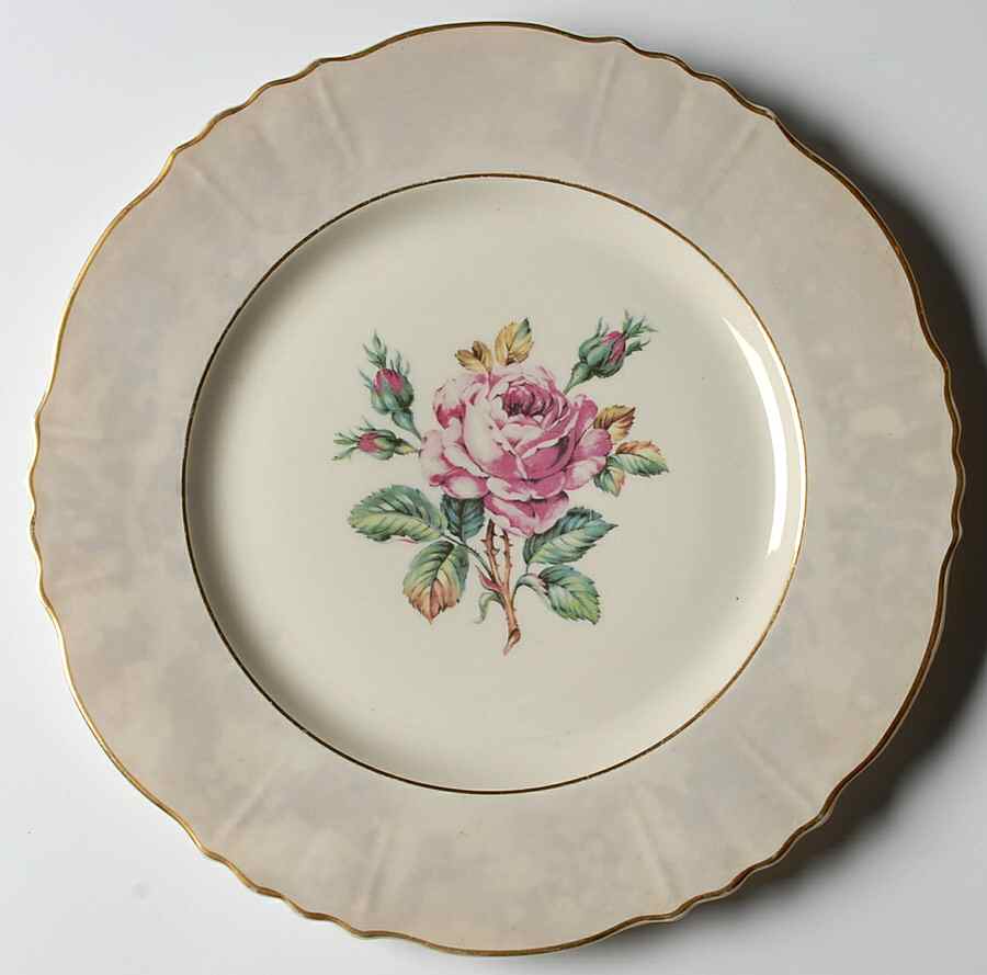 ABE41 Dinner Plate by Aberdeen-1