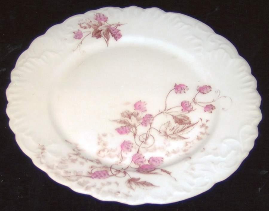 AUS390 Dinner Plate by Austria-1
