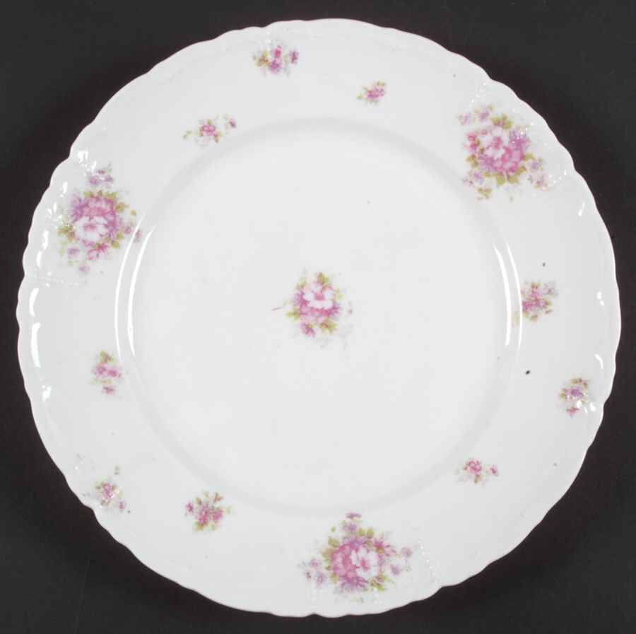 ALT549 Dinner Plate by Altrohlau-1