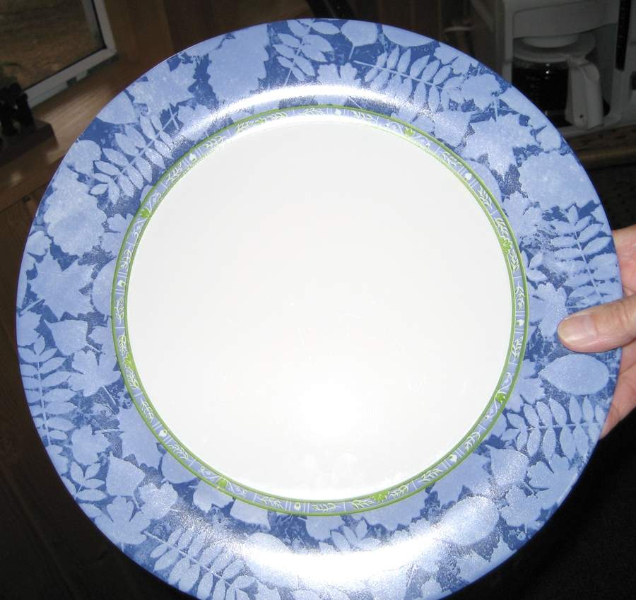 Arp47 Dinner Plate by Arcopal-1