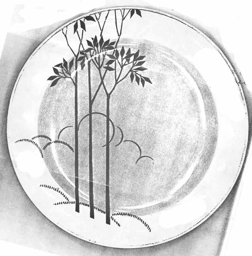 ACW11 Salad Plate by American Chinaware-1