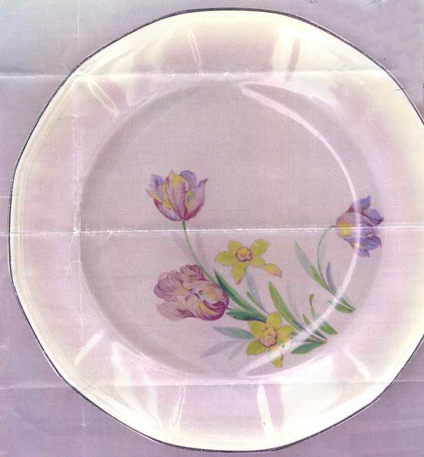 ATG26 Dinner Plate by Atlas Globe China Co-1