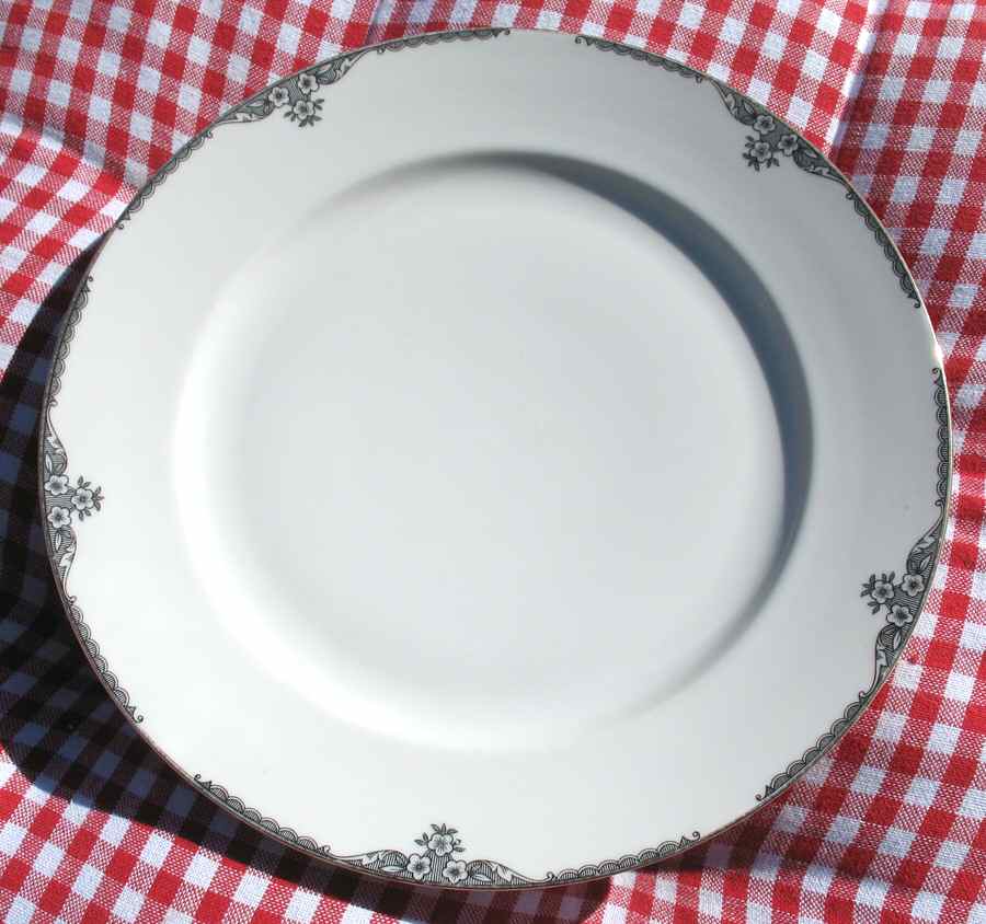 ARZ207 Dinner Plate by Arzberg-1
