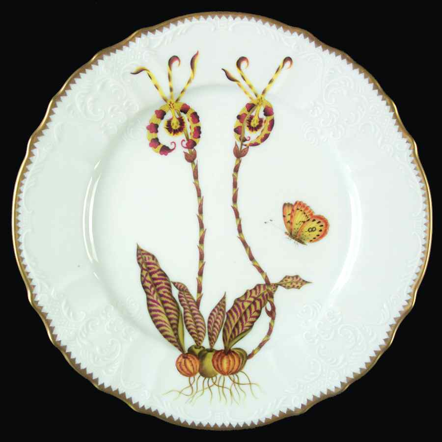 Orchid Dinner Plate by Anna Weatherley-1