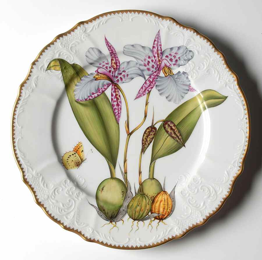 Orchid Dinner Plate by Anna Weatherley-1