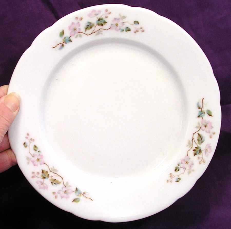 AUS393 Salad Plate by Austria-1