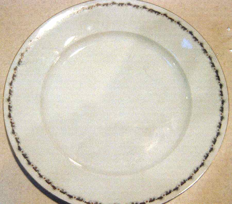 ALT556 Dinner Plate by Altrohlau-1