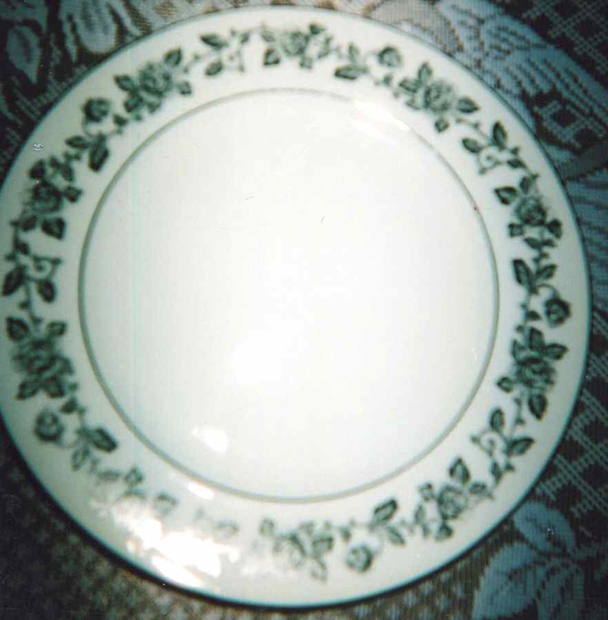AIC33 Dinner Plate by Aichi-1