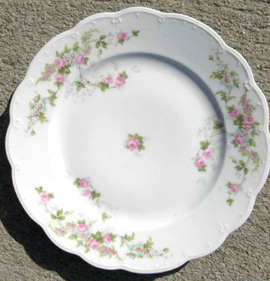 ALT557 Dinner Plate by Altrohlau-1