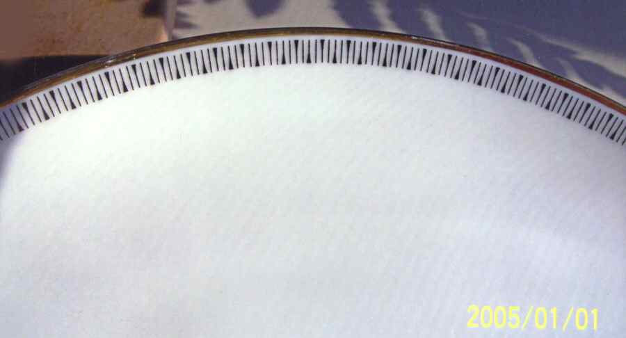 ARZ213 Dinner Plate by Arzberg-1