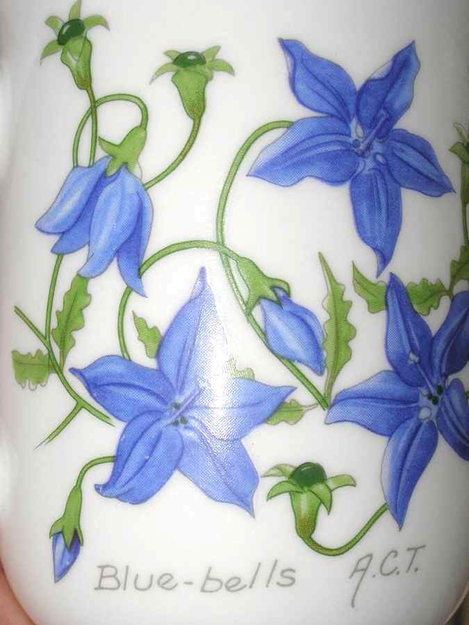 Australian State Flowers Mug by Australian Fine China-1