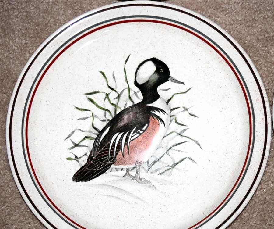 ARK55 Dinner Plate by Arklow-1