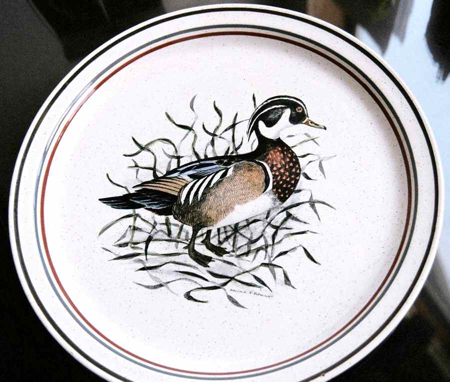 ARK55 Dinner Plate by Arklow-1