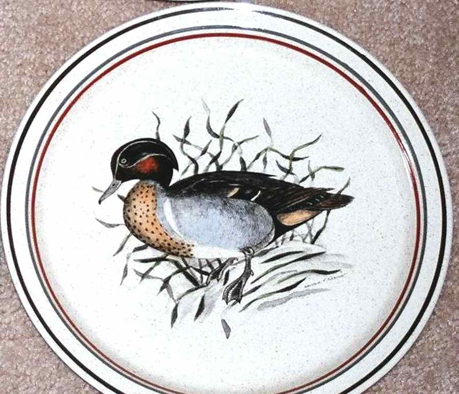 ARK55 Dinner Plate by Arklow-1