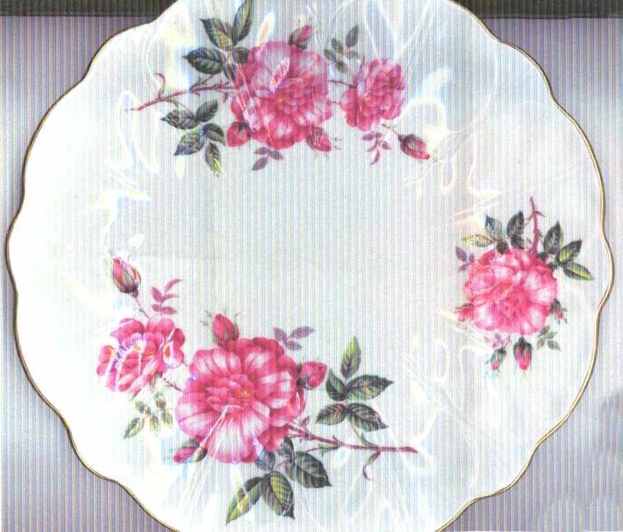 AYN192 Dinner Plate by John  Aynsley & Sons-1