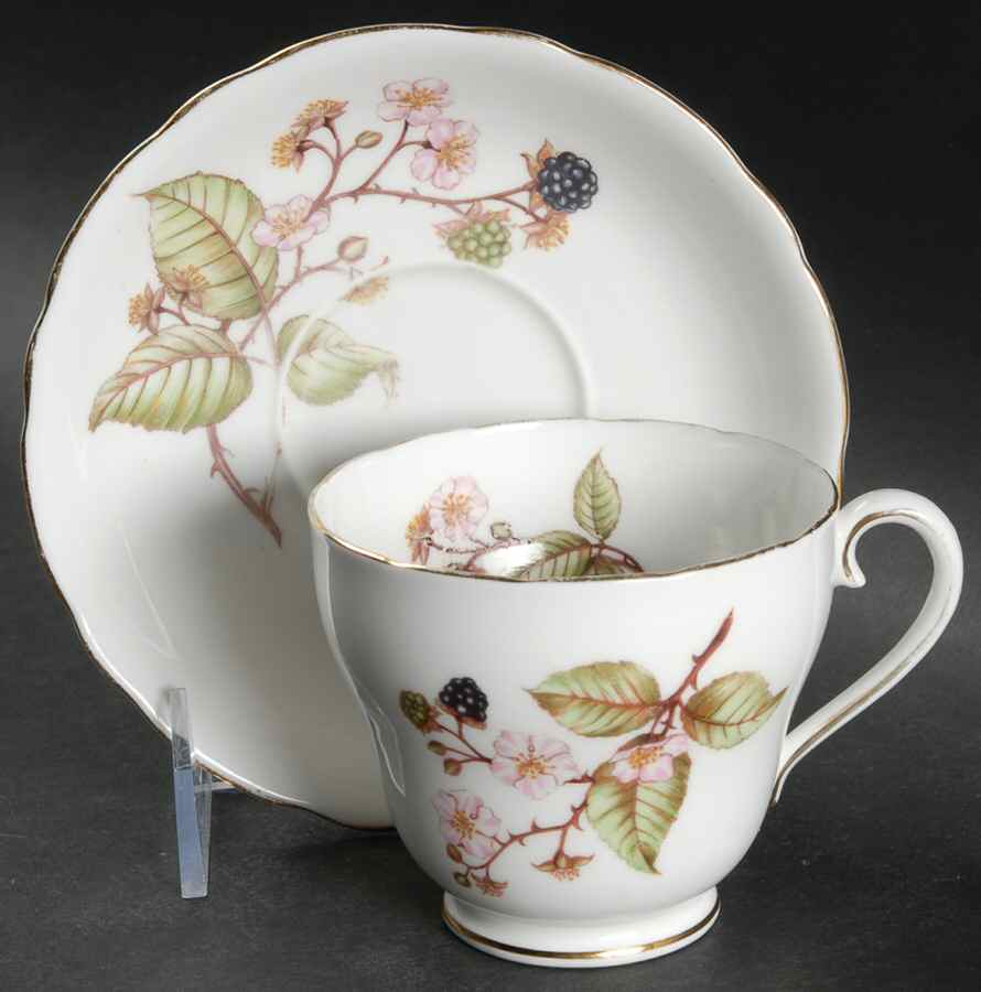 Bramble (H545) Footed Cup & Saucer Set by Adderley-1