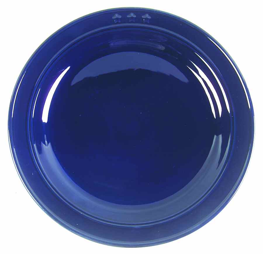 General Store Navy Blue Dinner Plate by American Living-1