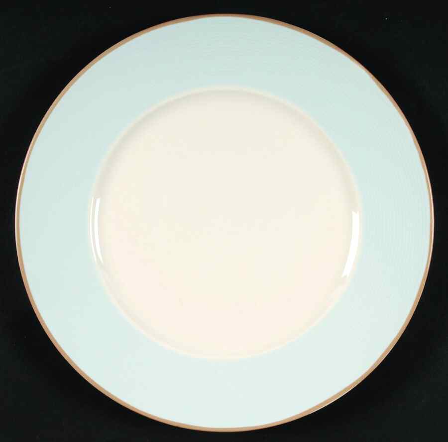 Radius Blue Dinner Plate by 222 Fifth (PTS)-1