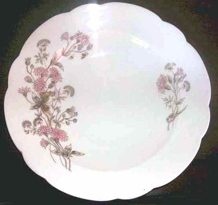 AUS398 Dinner Plate by Austria-1
