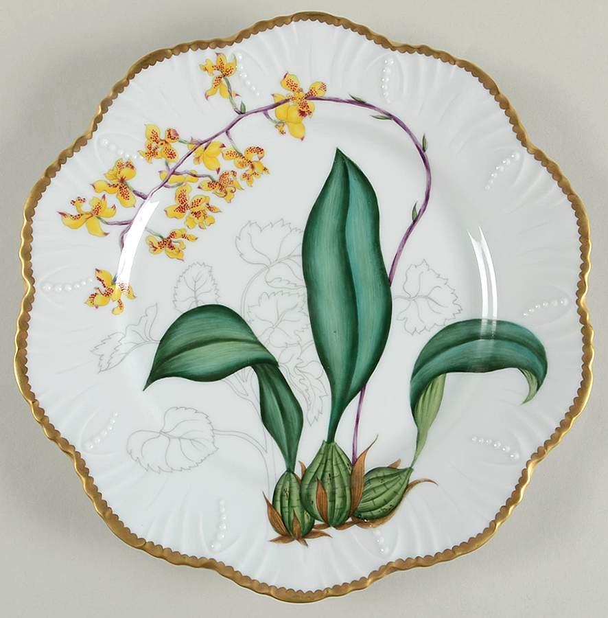 Histoires d'Orchidees Dinner Plate by Alberto Pinto-1