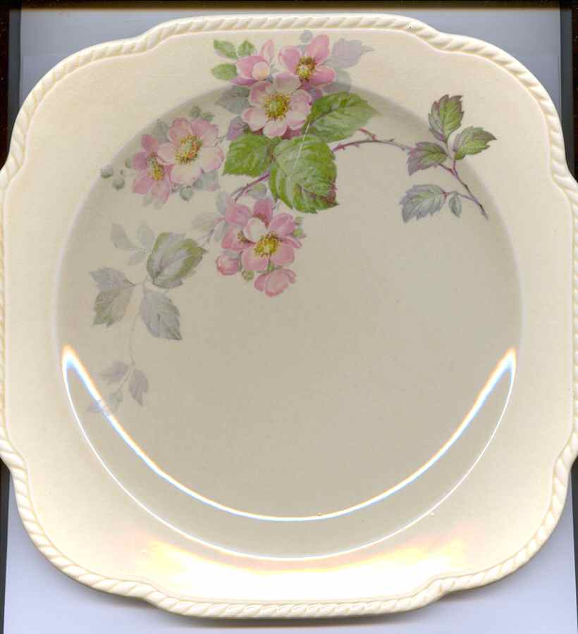 ACW14 Square Dinner Plate by American Chinaware-1