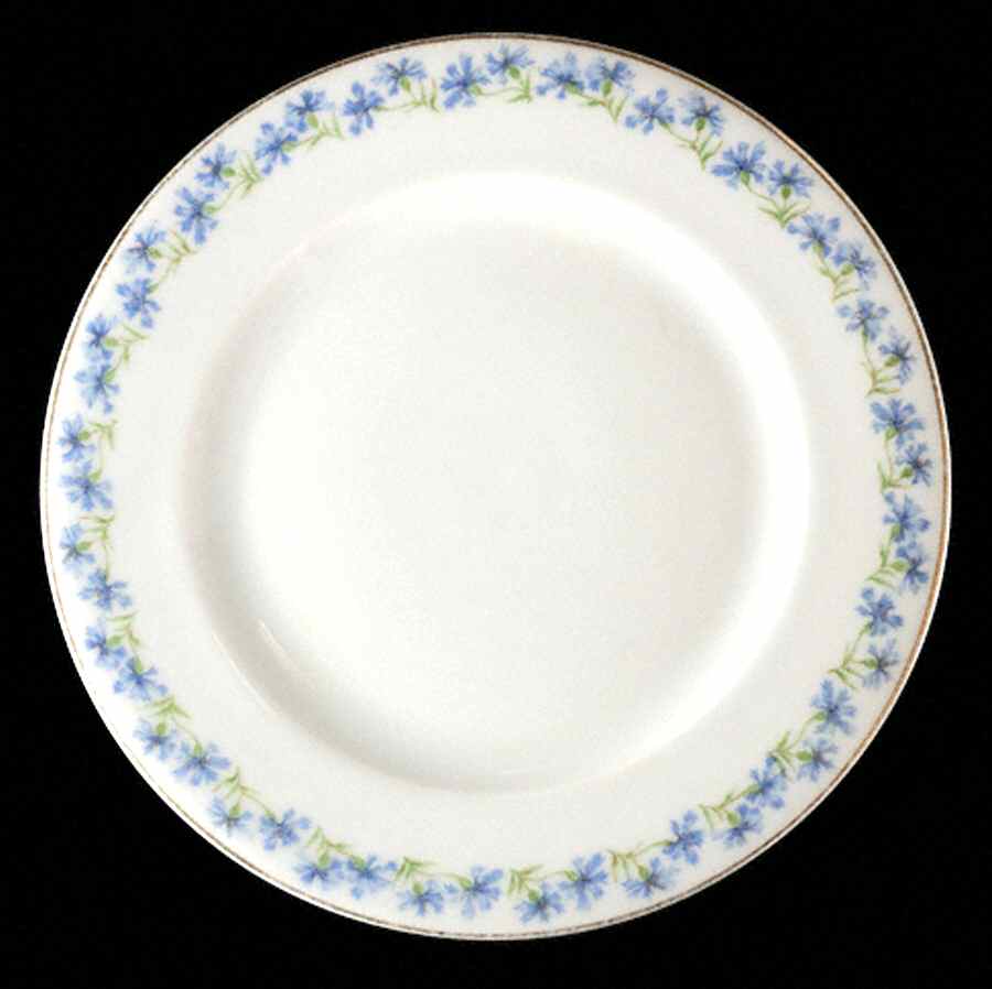 12125 Dinner Plate by Austria-1