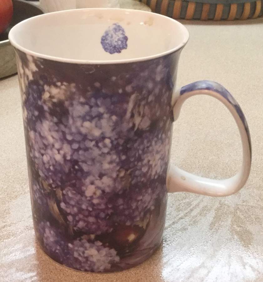 Hydrangea Mug by Ashdene-1